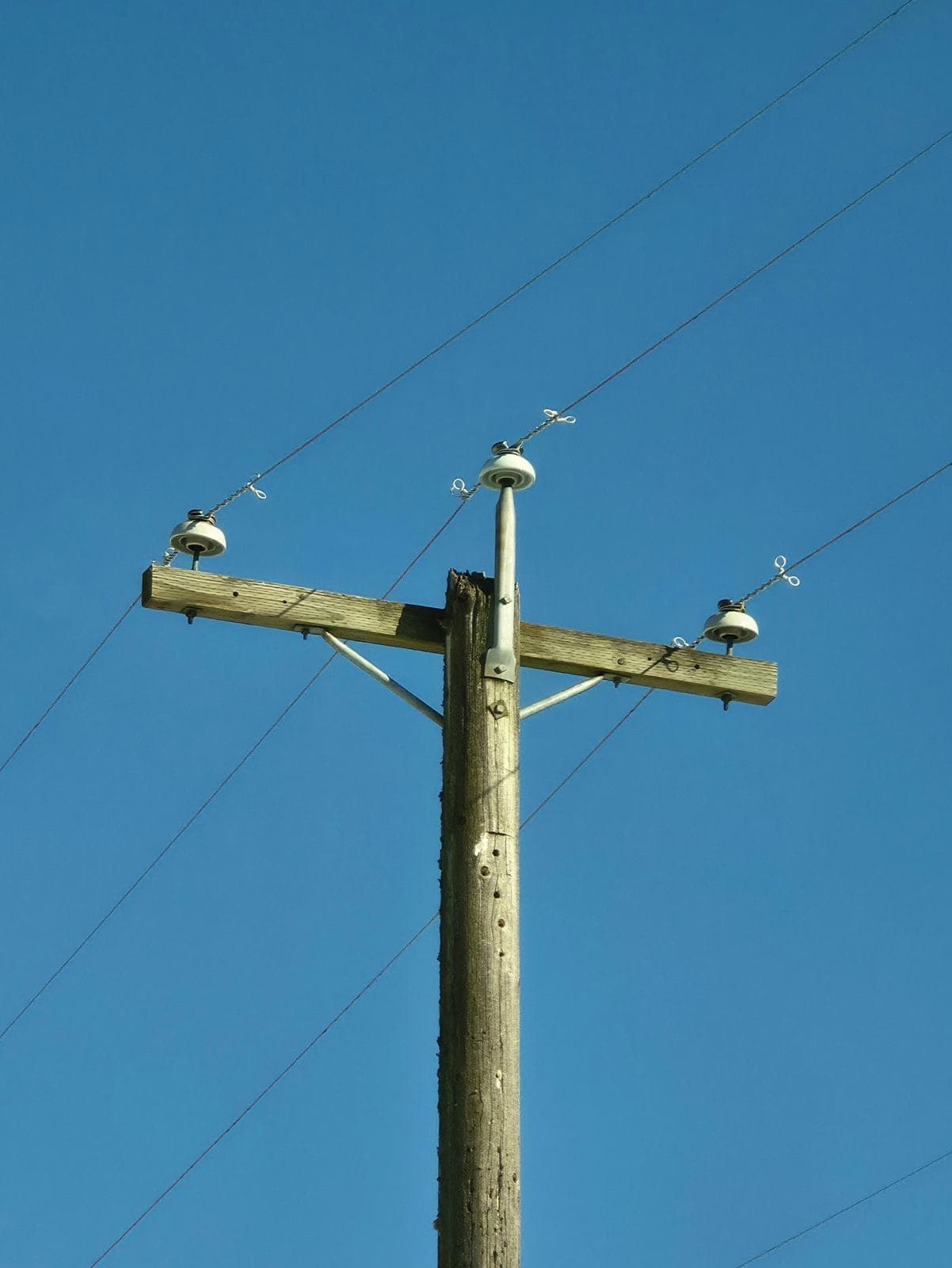 A distribution pole with crossarm and insulators carrying overhead conductors.